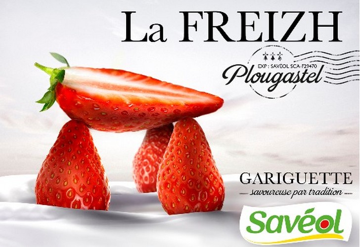 fraises de plougastel